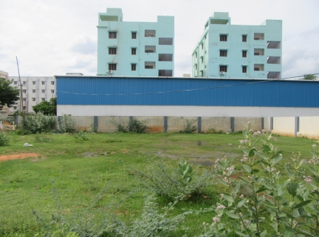 1) Li id 317 - Pic 2.JPG